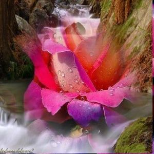 Meet your Posher, Lupe